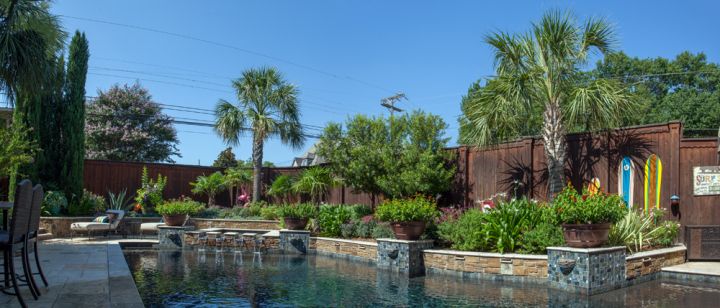 Pool Scape Beautiful Plants For Your Outdoor Oasis Roundtree Landscaping Dallas Tx - Tropical Plants Around Pool In Texas