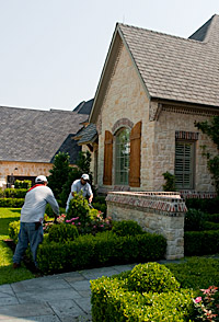 landscape maintenance