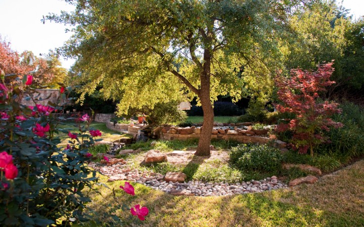 Natural Ponds & Waterfalls