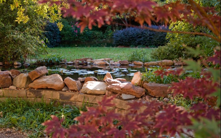 Natural Ponds & Waterfalls