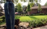 Cozy Backyard with Front Yard Patio