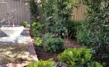 Backyard Transformation: From Bare Soil to Perfect Entertaining Space!